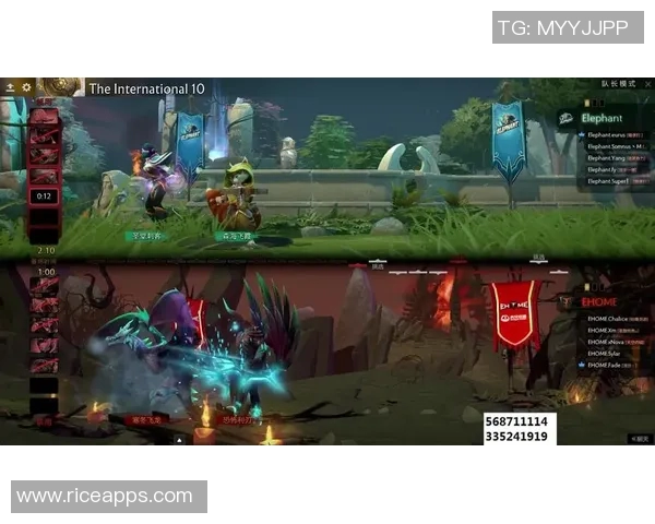 2021dota2小象比赛-探究分析 2021 DOTA2 小象赛事盛况及其意义影响-2021dota2小象比赛