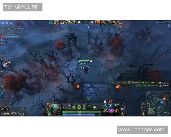 dota230把比赛才能自定义-全面解读DOTA2中的30把比赛才能自定义功能-dota230把比赛才能自定义